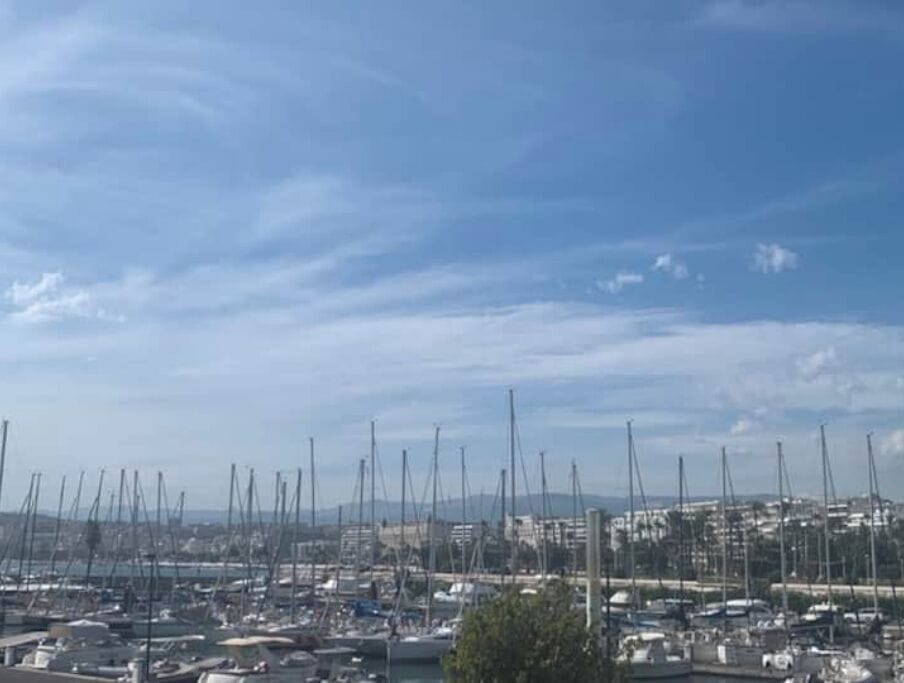 Cannes Palm Beach T2 standing WI FI Air conditioning Apartment in Cannes