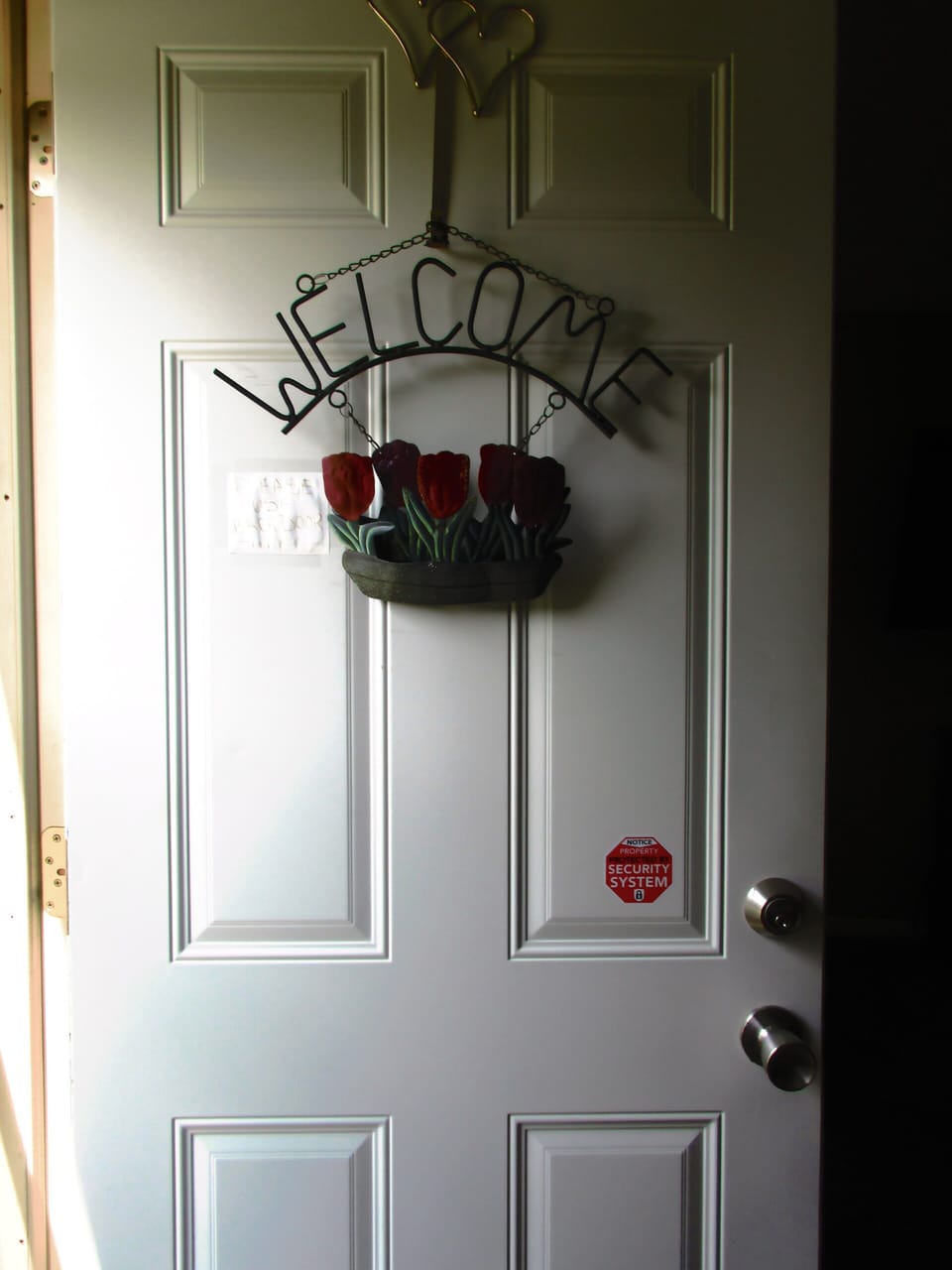 front door
we ask that you use back door