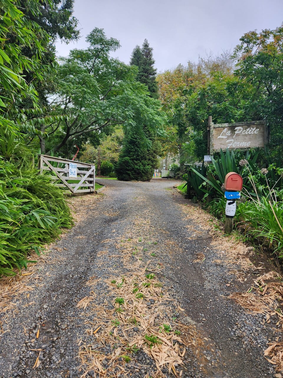 Road entrance to house, up driveway to the left