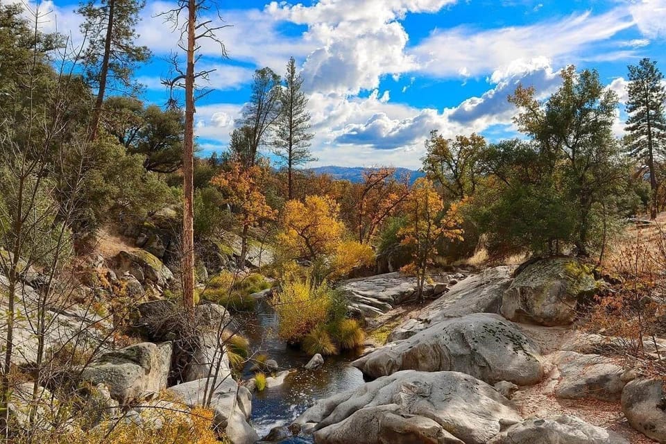 Scenic view of the river flowing alongside the property, offering a picturesque natural setting