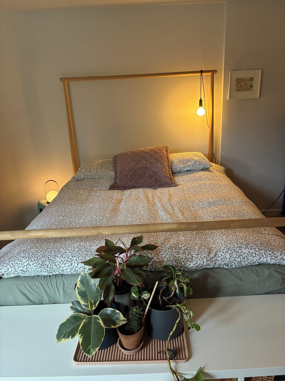 Cool city residential house. Near the best restaurants and cafés.  Pet friendly. House in Dublin