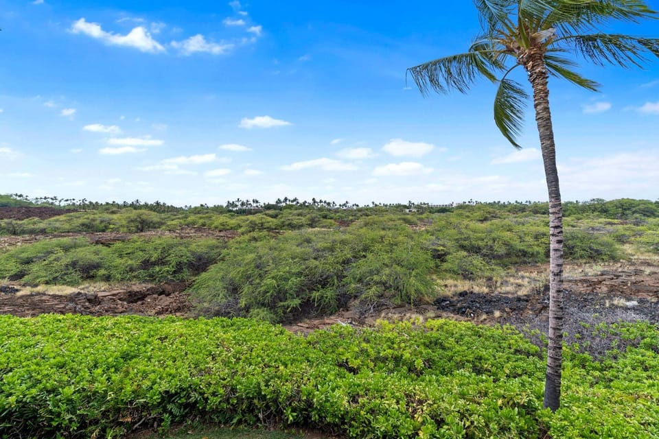 View from the lanai