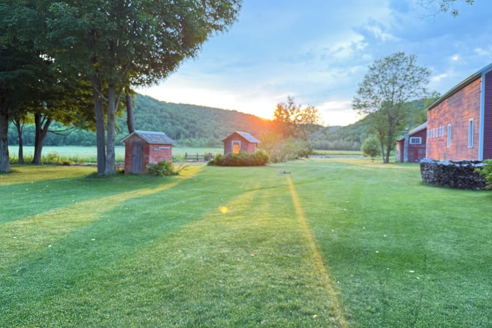 Yard