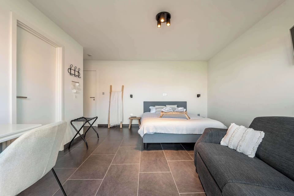 Ruime kamer met Kingsize bed en zetelbed