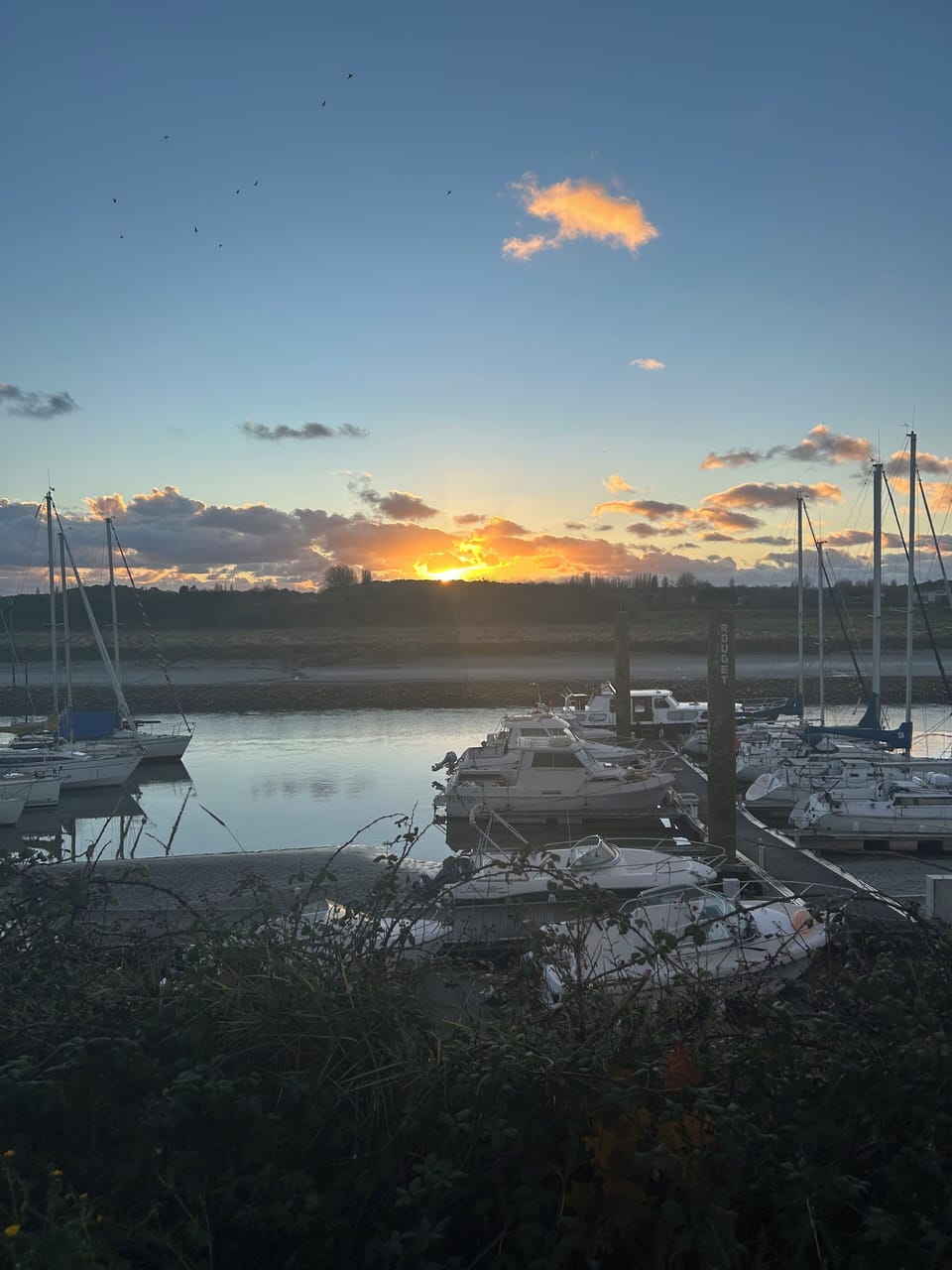 Marina