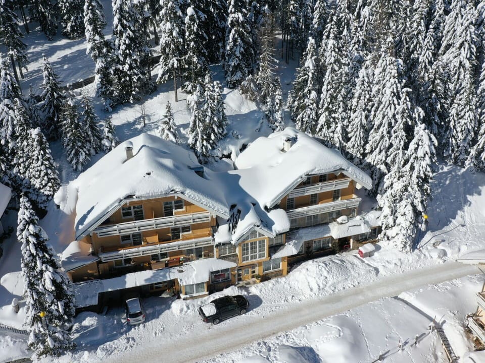 House, Cottage, Larch, Mountain Village, Freezing, Snow, Winter, Alps, Evergreen