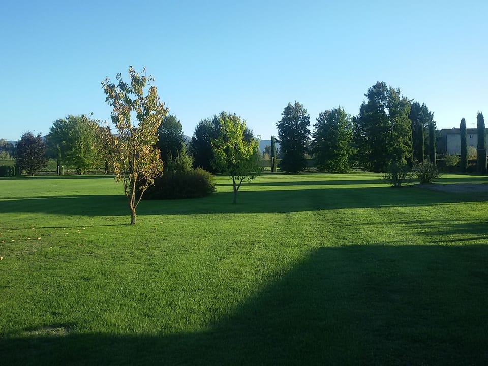 Property grounds