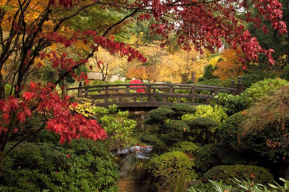 Wander through autumn colors and pause on the charming garden bridge.