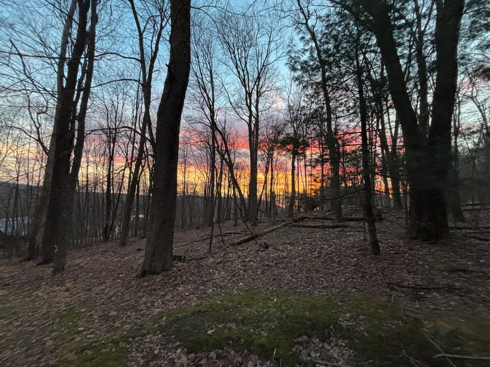 Sunrise from our lawn