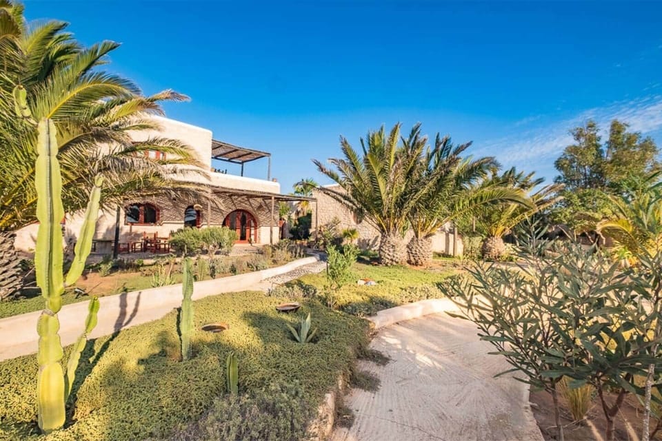 Ecolodge sidi kaouki airbnb chambre hote