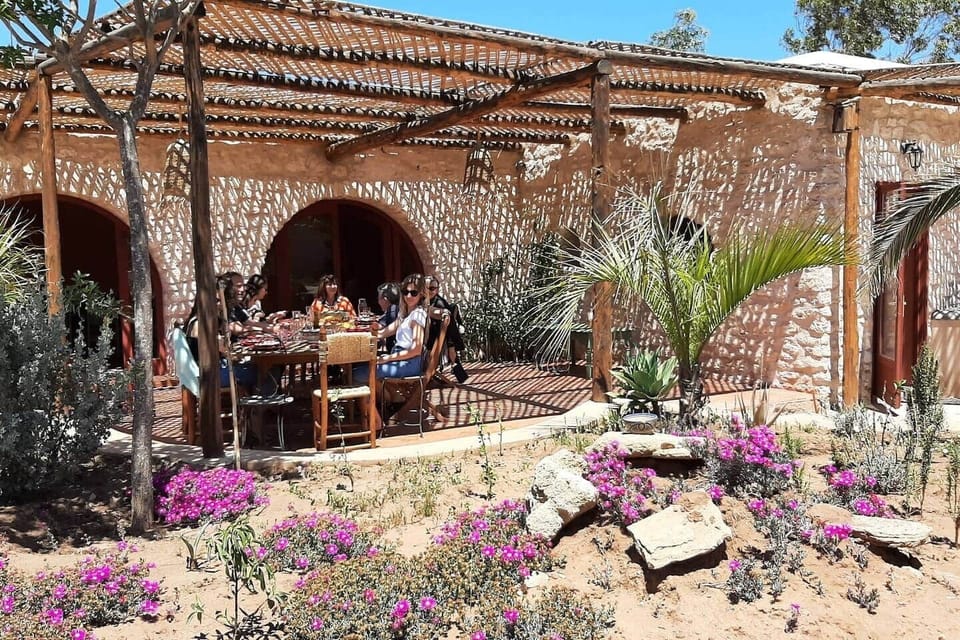Ecolodge sidi kaouki airbnb chambre hote