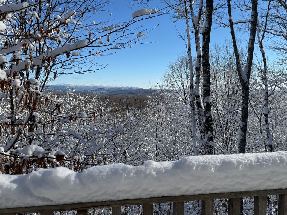 View from property