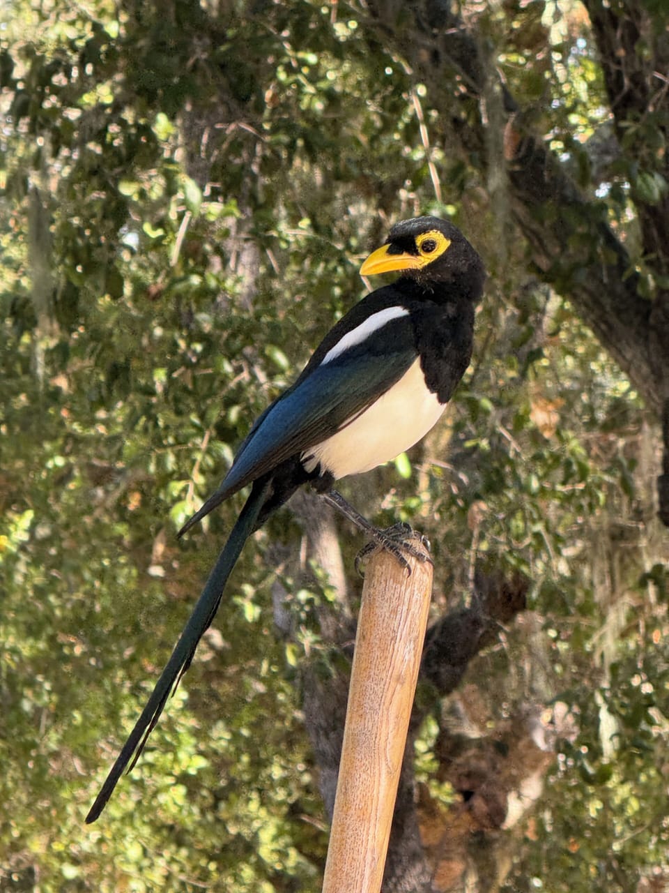 Plenty of bird watching