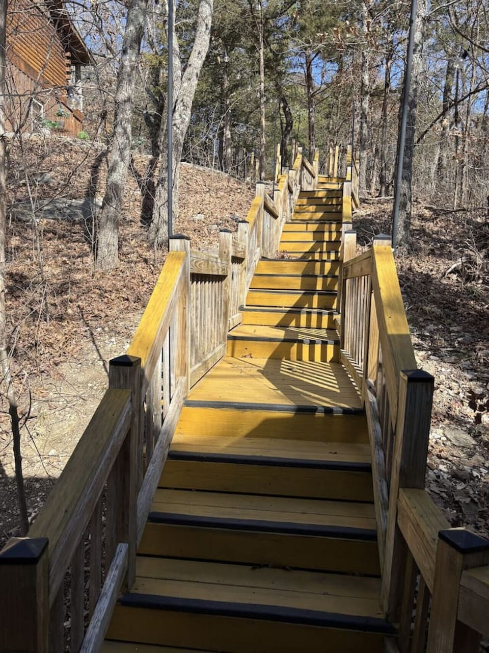 Front Steps