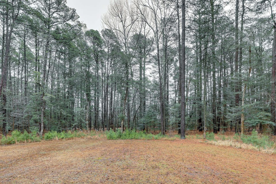 Backyard | Wooded View