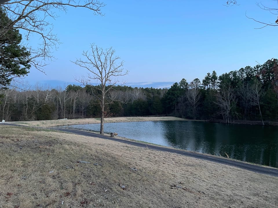 The Lake at Peppermint Springs farm 