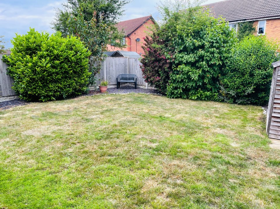 Garden area
