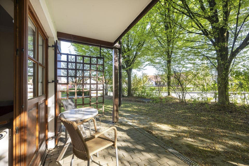 Garden [summer]