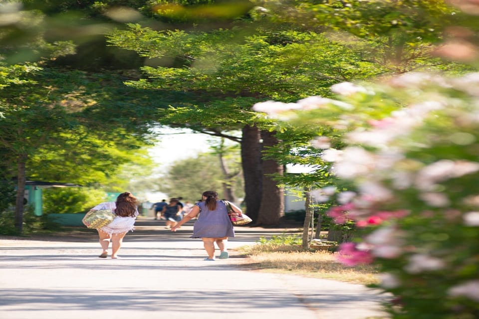 Holiday Park Facilities and Services 