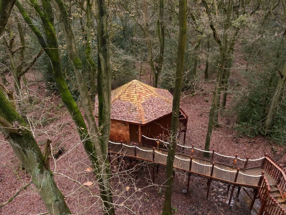 Glentress Forest Golden Oak Treehouse