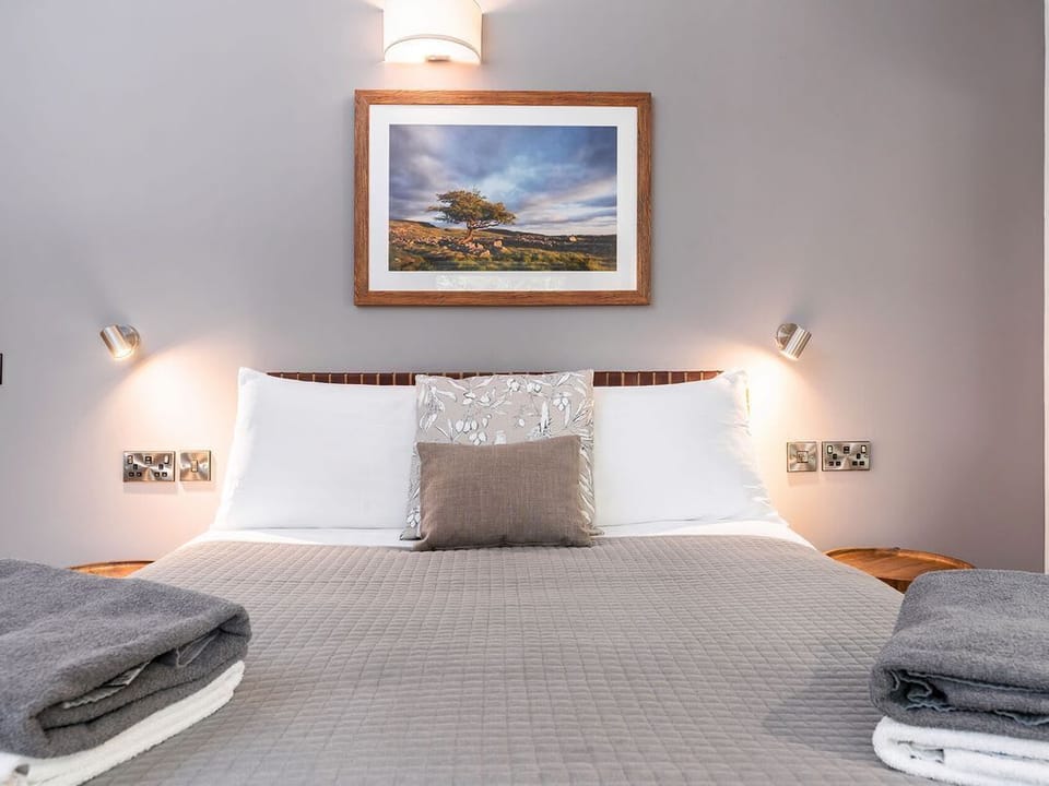 Glentress Forest White Willow Premium Valley View