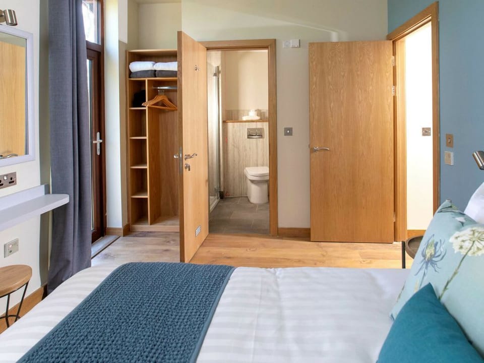 Glentress Forest Silver Birch