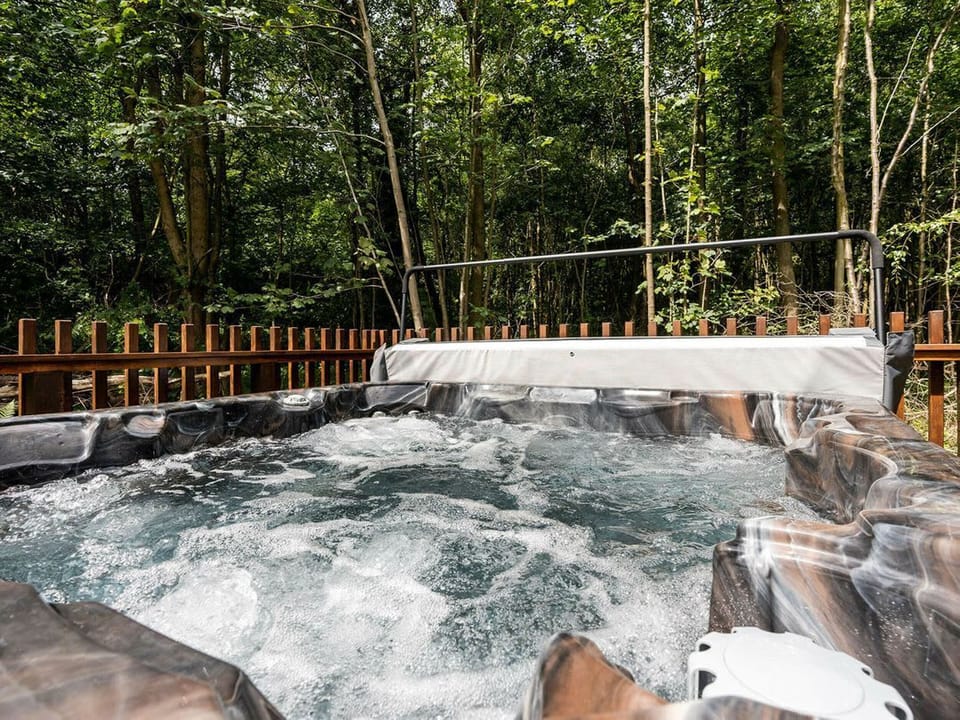 Glentress Forest Silver Birch (2 doubles and 1 twin)