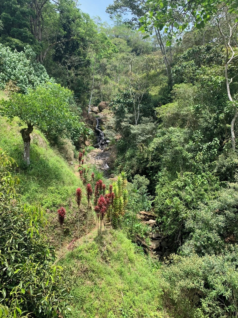 Trail to the Private Waterfall