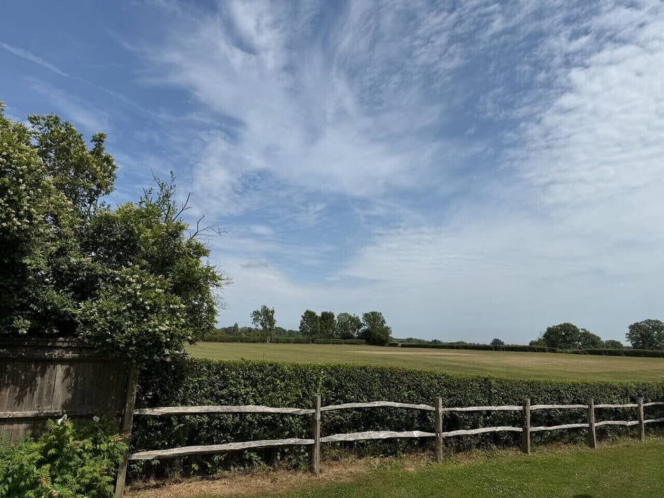 An open field view beyond a wooden fence and hedging.