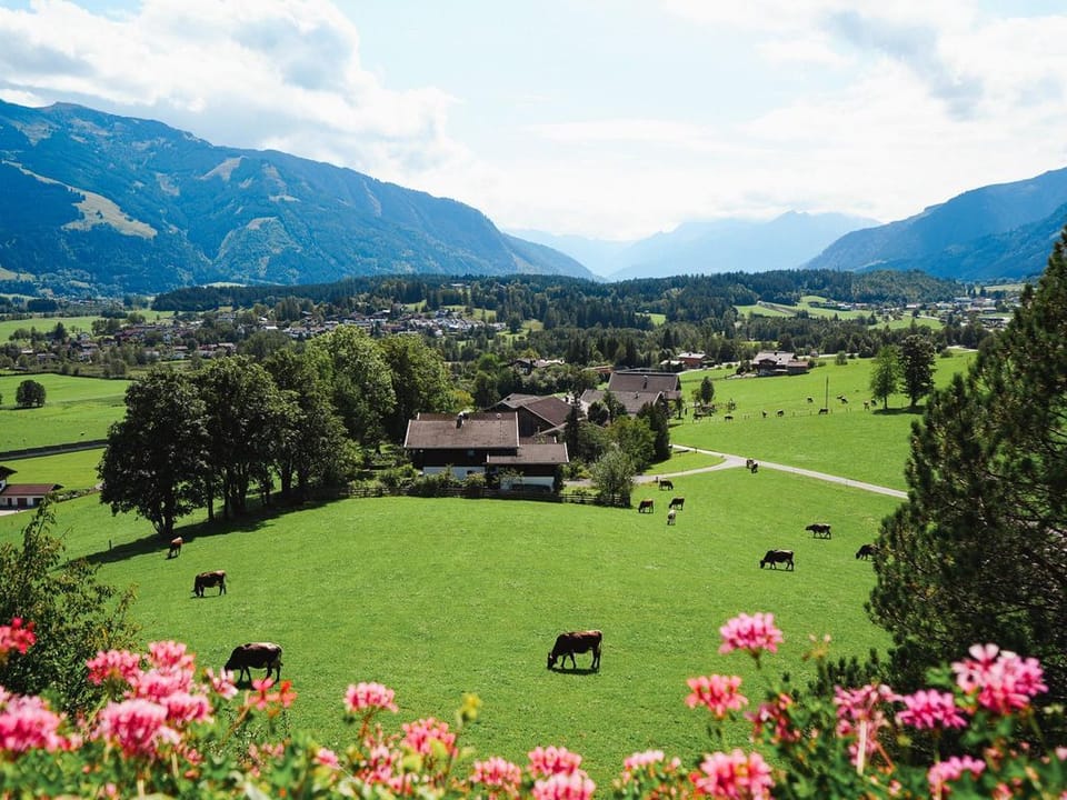 Hohe Tauern - Vorderkasbichlhof Apartment in Salzburgerland