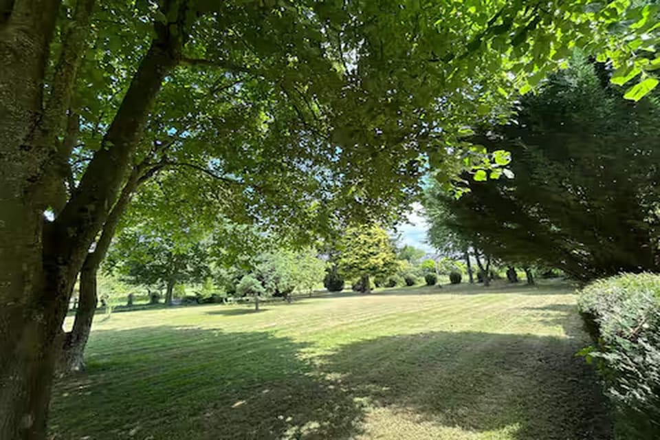 Garden [summer]