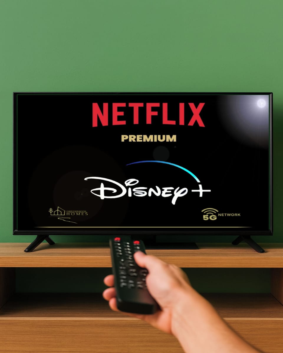 Television