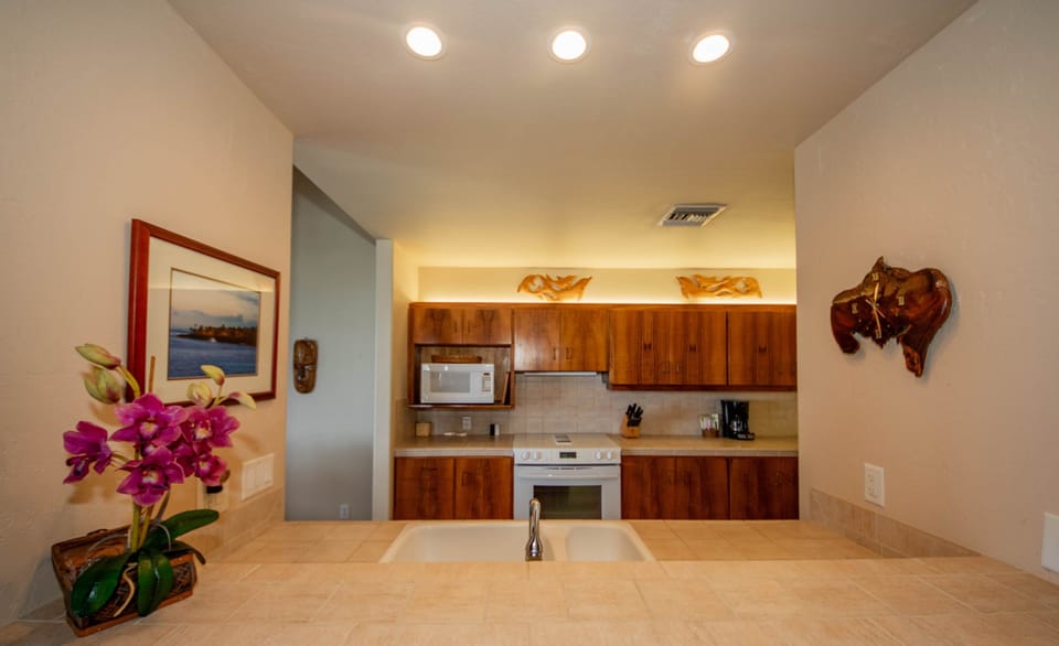 Plenty of counter and cabinet space!