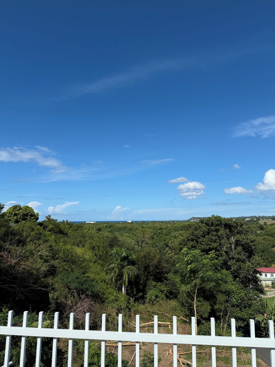 View from property