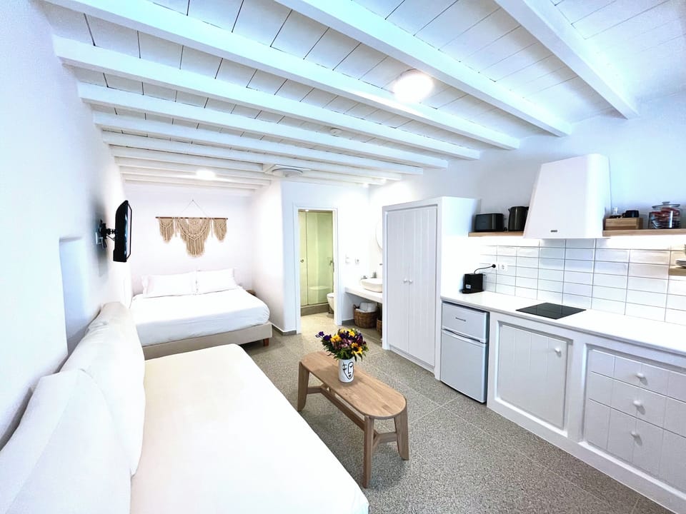 Open-plan living and sleeping area