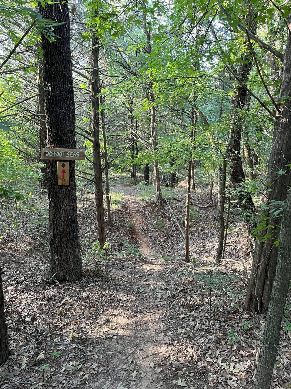 The mountain bike trails are a hidden gem!