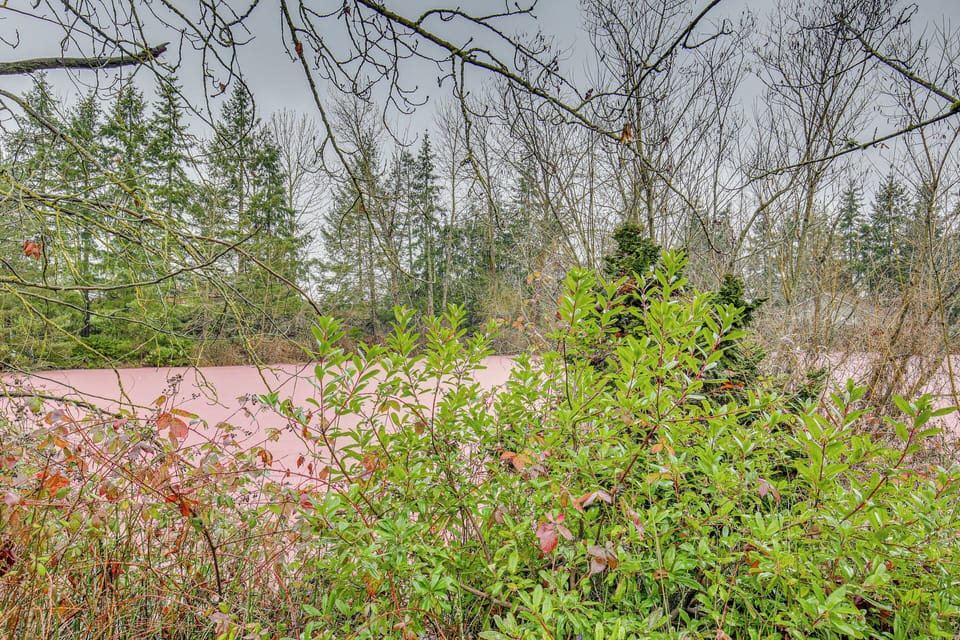 Walk to Rainbow Lake