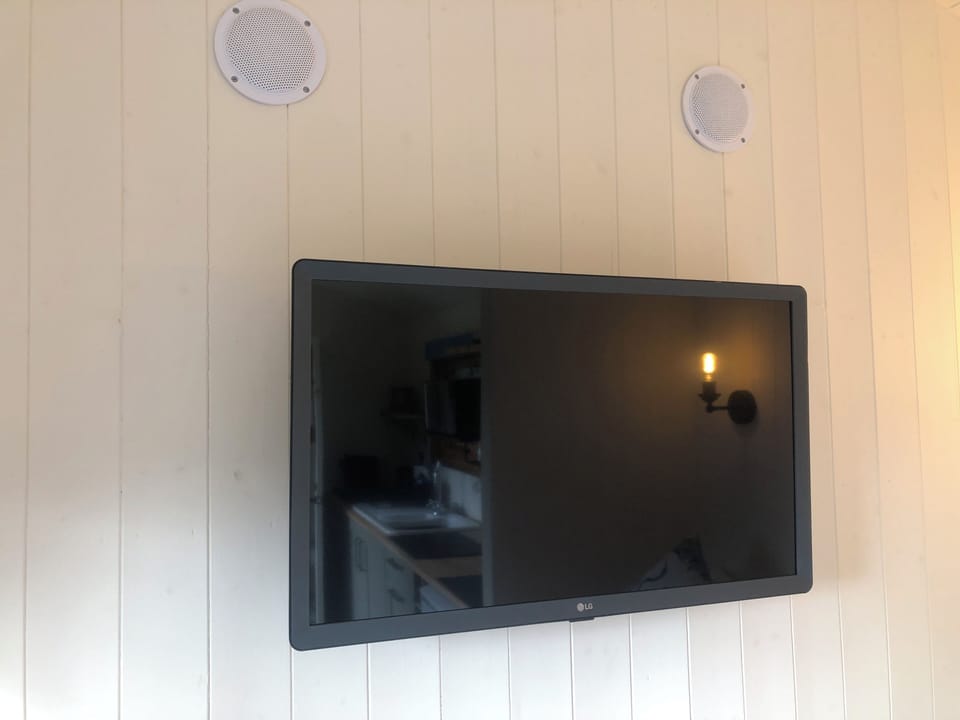 Television