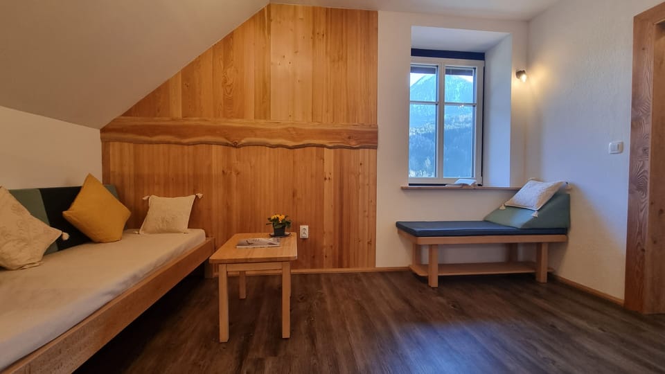 Vila Zora Jezersko, apartment Čedca, living room.