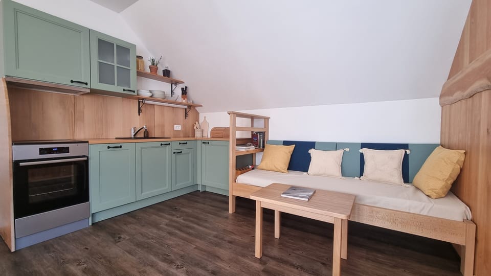 Vila Zora Jezersko, apartment Čedca, Fully equiped kitchen - oven & dishwasher.