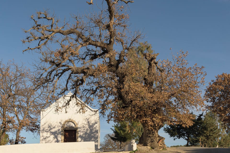 Hidden along the landscape, small chapels and churches.