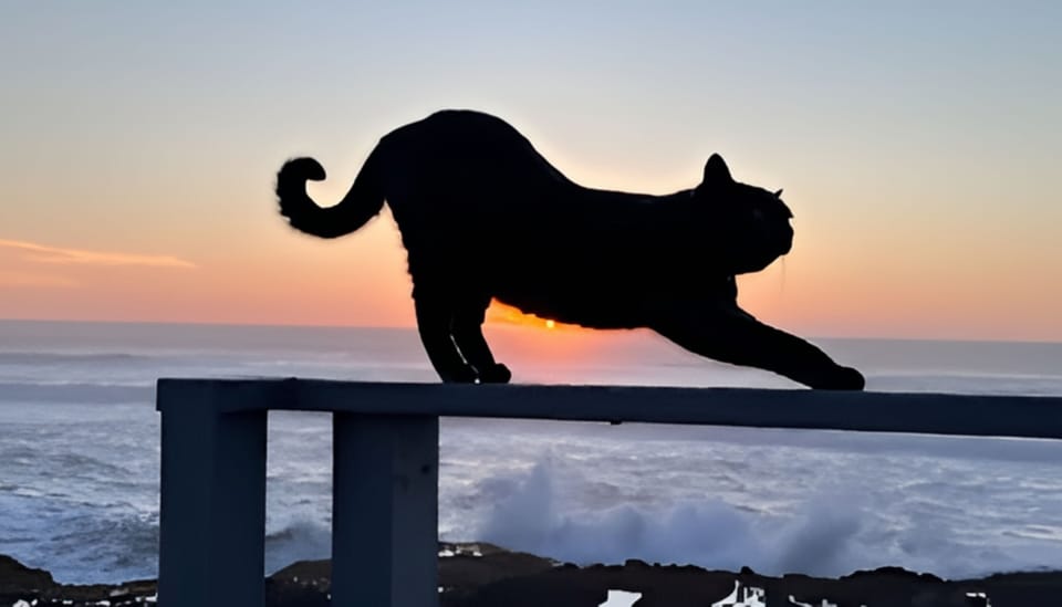 Coastal property features stunning ocean views with dramatic sunset skies creating a perfect backdrop for memorable stays.