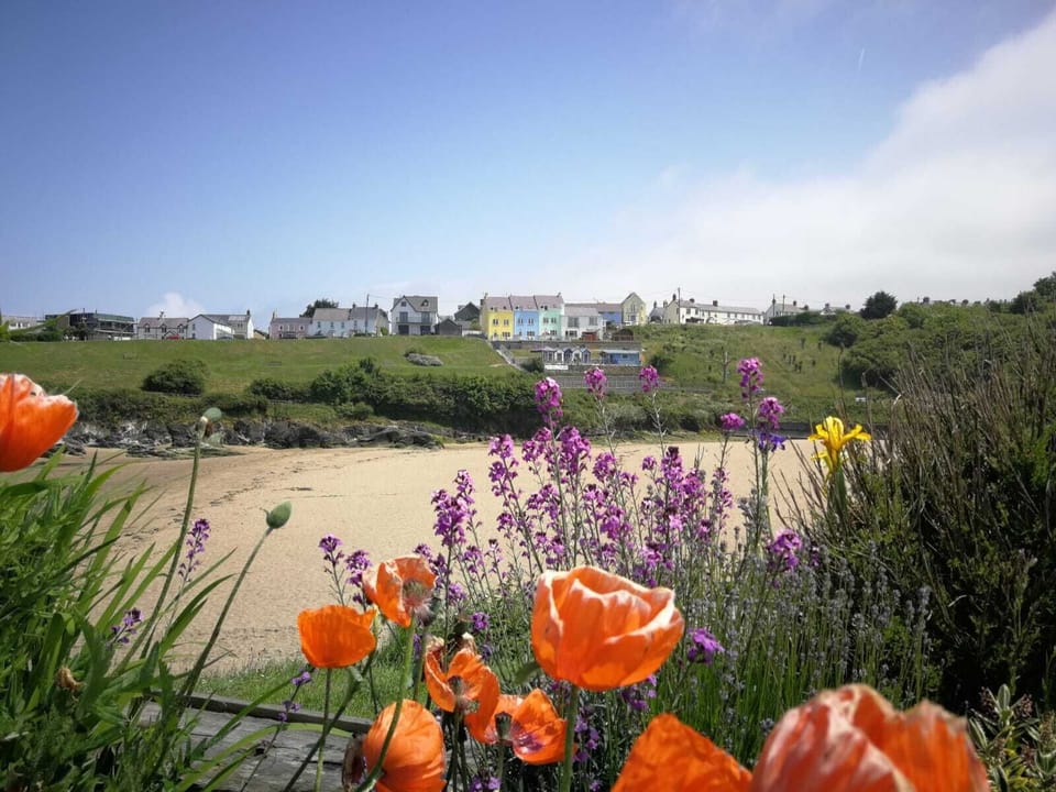 View of Glanmordy 