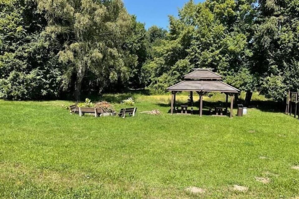 Garden [summer]