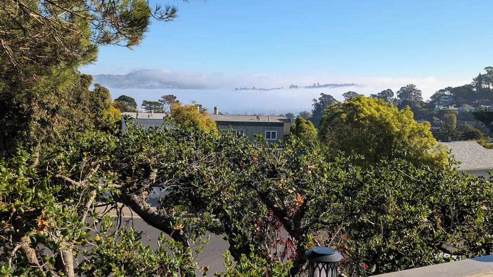 View from property