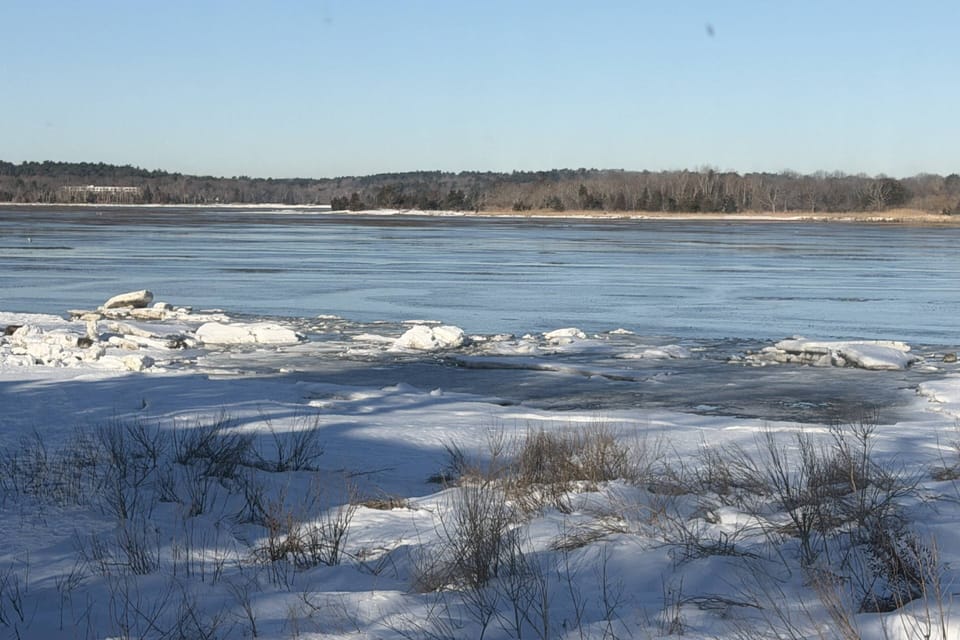View of the marsh during winter