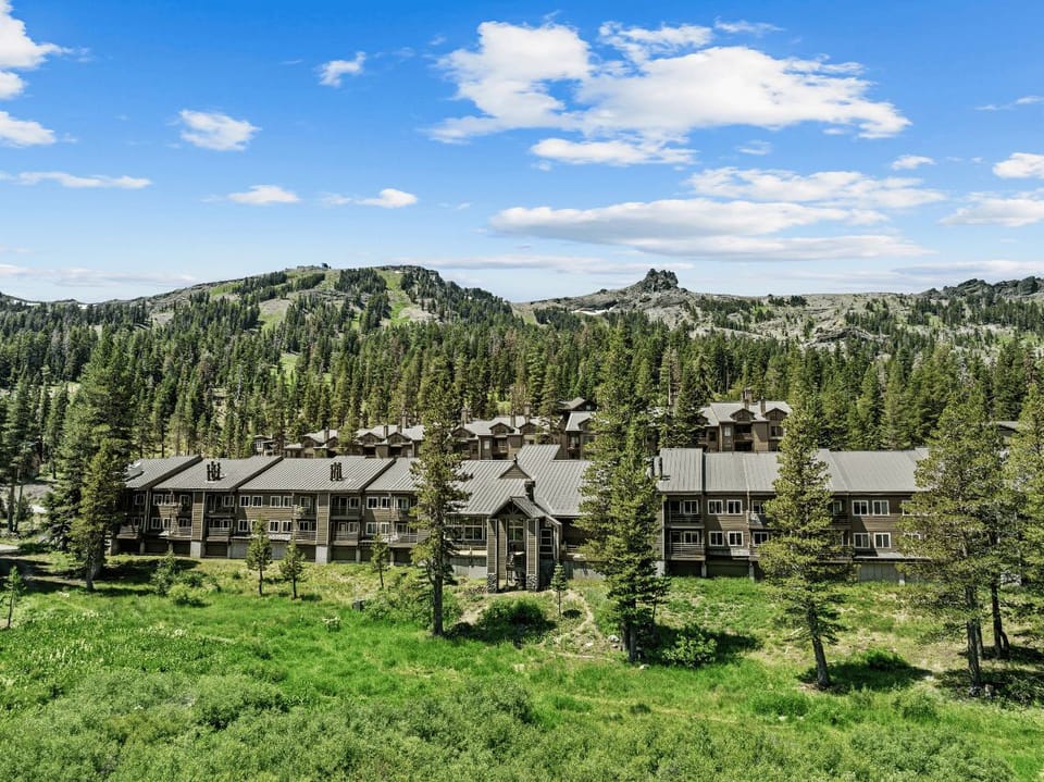 Experience nature's beauty as you embrace mountain life in summer's lush greens.