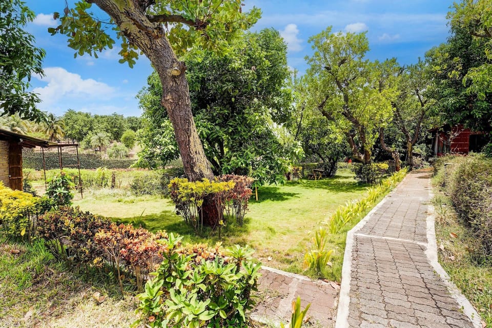 Garden [summer]