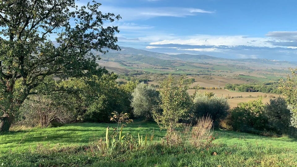 Scenic View