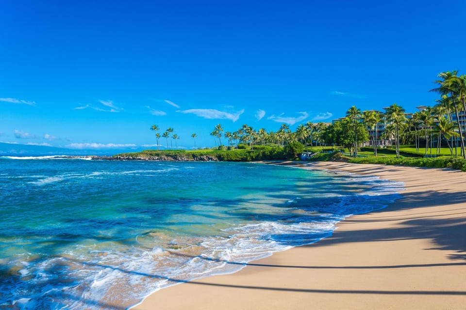 1502 Relax and Swim on The Award-Winning Kapalua Beach and Bay